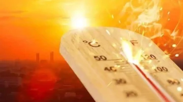 ارتفاع درجات الحرارة غداً والأرصاد تحذر من شبورة كثيفة تؤثر على الرؤية في بعض الطرق